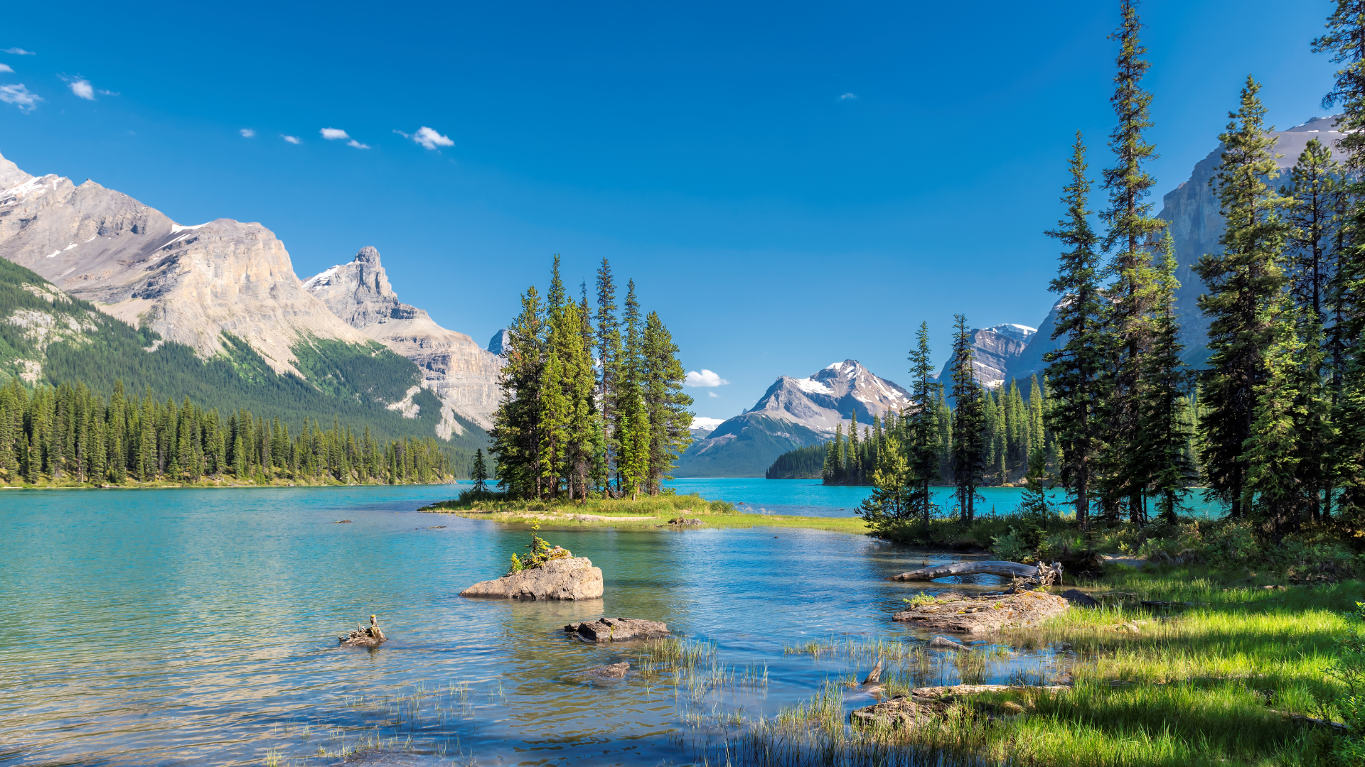 แจสเปอร์