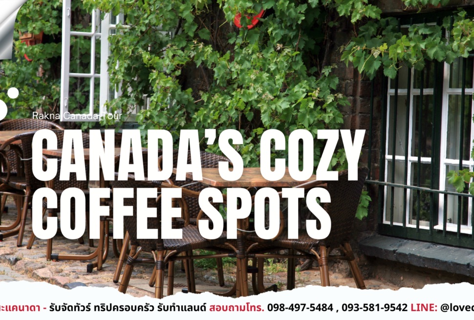 คาเฟ่_แคนาดา