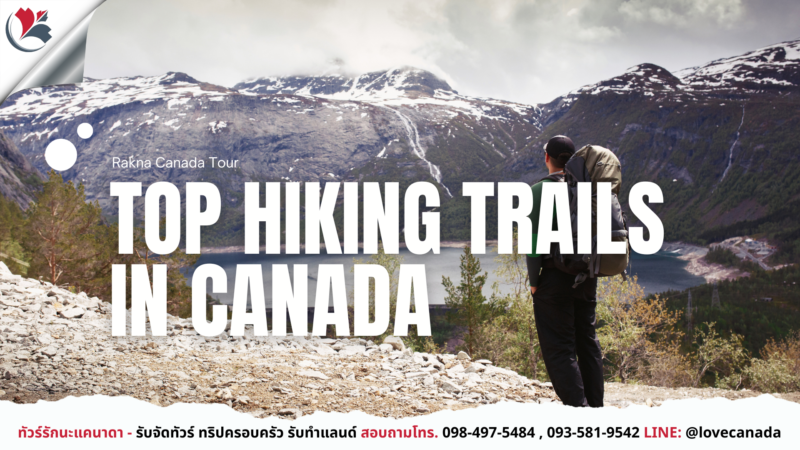เดินป่าในแคนาดา