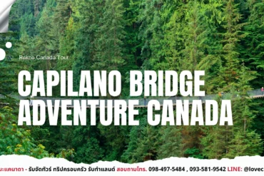 เที่ยวแคนาดา_ทัวร์แคนาดา