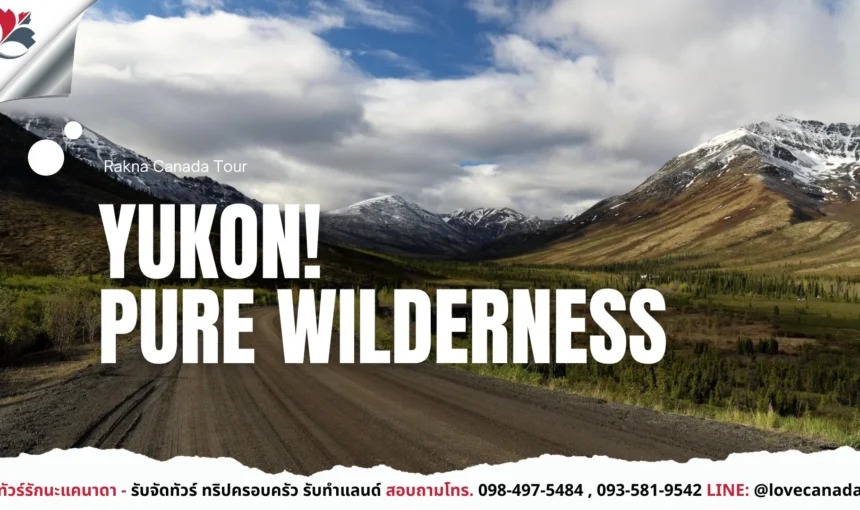 Yukon ดินแดนธรรมชาติสุดขอบโลก