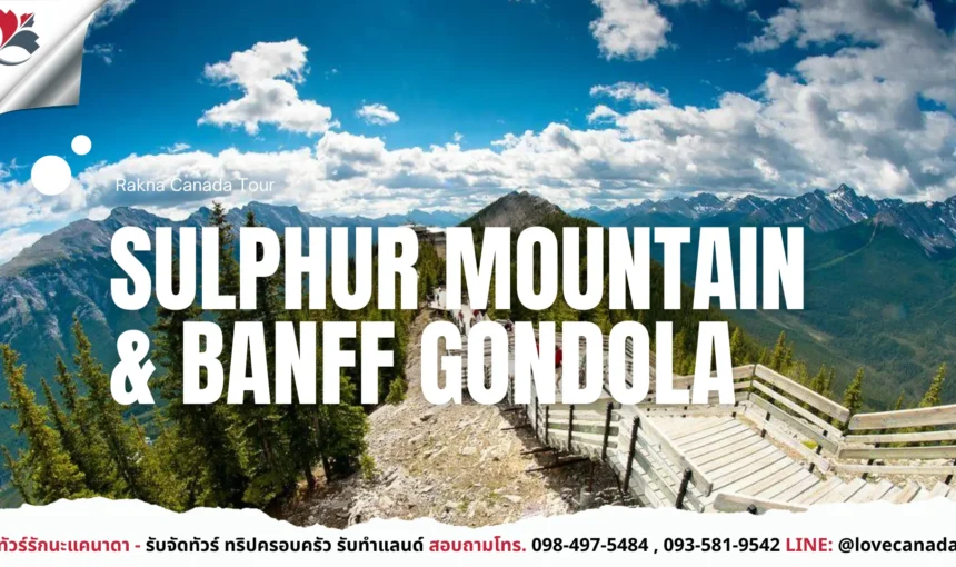 Sulphur Mountain & Banff Gondola วิวพาโนรามากลางขุนเขา