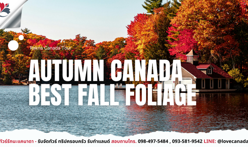 Autumn Canada เส้นทางชมใบไม้เปลี่ยนสีที่สวยที่สุด