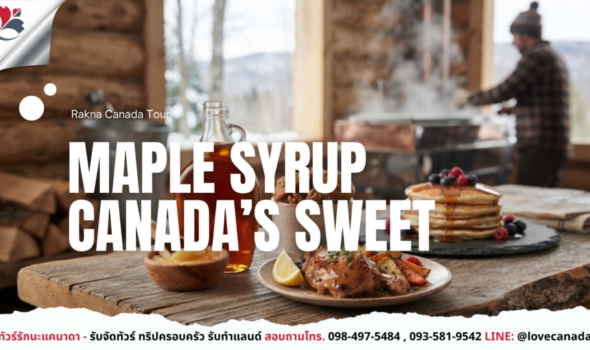 Maple Syrup ราชาแห่งความหวานจากแคนาดา